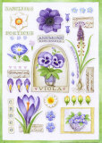 From the Garden
