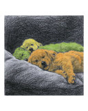 Sweet Dreams (lime  orange  yellow)