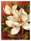 Summer Bloom II