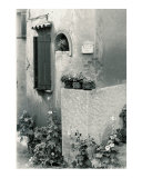 A Provence Still Life