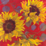 Sunflower II