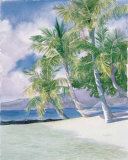 Hammock