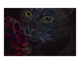 Vibrant Black Light Kitty