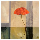 Red Poppies II
