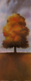 Lonely Oak
