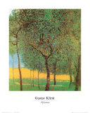 Orchard