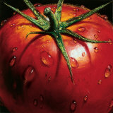 tomato art