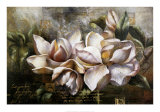 Dawning Magnolias