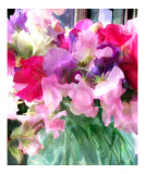 Mixed Sweetpeas in a Jar