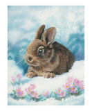 Baby Bunny