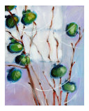 Green Persimmons