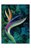 Bird of Paradise