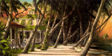 Island House