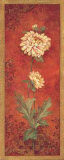 Chrysanthemum