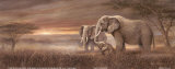 Gentle Giants
