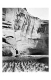 Navajo Farming