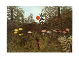 Virgin Forest