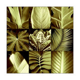 Tropical Leaves II