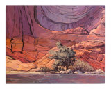 Canyon Walls