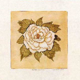 White Peony