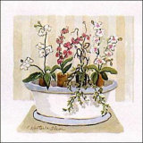 Orchid Tub