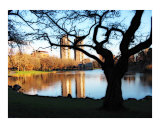 Central Park Meer in Early Winter  Late Day
