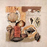 Seashells
