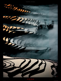 China  Yunnan Rice fields