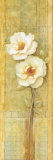 Quiet Flowers IV