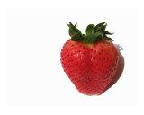 Fresh Fragaria