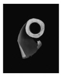 Beauty of Everday Objects (in black & white)