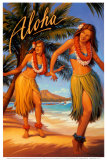 Aloha  Hawaii