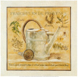 Fraicheurs de Provence