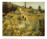 A Path Through the Long Grass