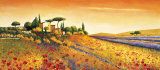 Sunlight Country