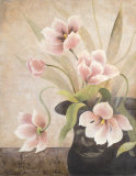 Pink Persuasion II