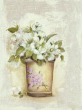 Maceta Lilac I