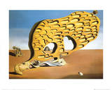 L'Enigma del Desiderio