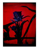 Flower's View of Days End