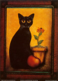 Framed Cat II