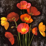 Poppy Bouquet I