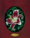 Red Lilies III