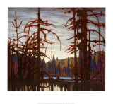 Beaver Swamp