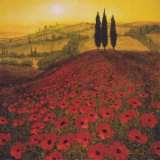 Poppy Field