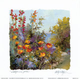 Wildflower Patch