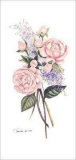 Rose Botanical 1