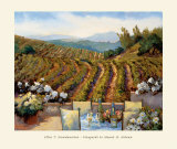 Vineyards to Mount St Helena