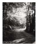 The Road Taken