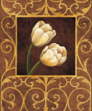 Ornamental Tulips