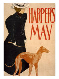 Harper's Bazaar  Greyhound